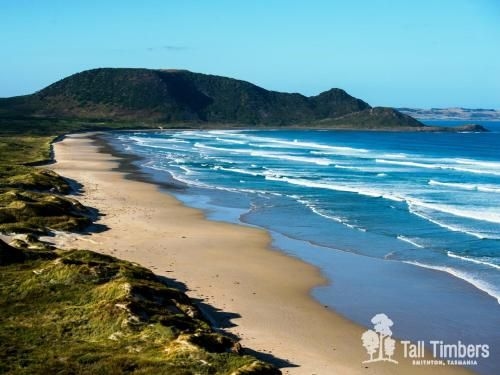 Tall Timbers Tasmania3
