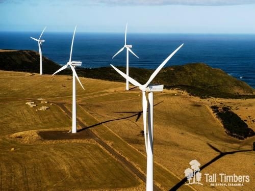 Tall Timbers Tasmania2