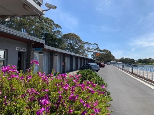 The Waterfront Wynyard0