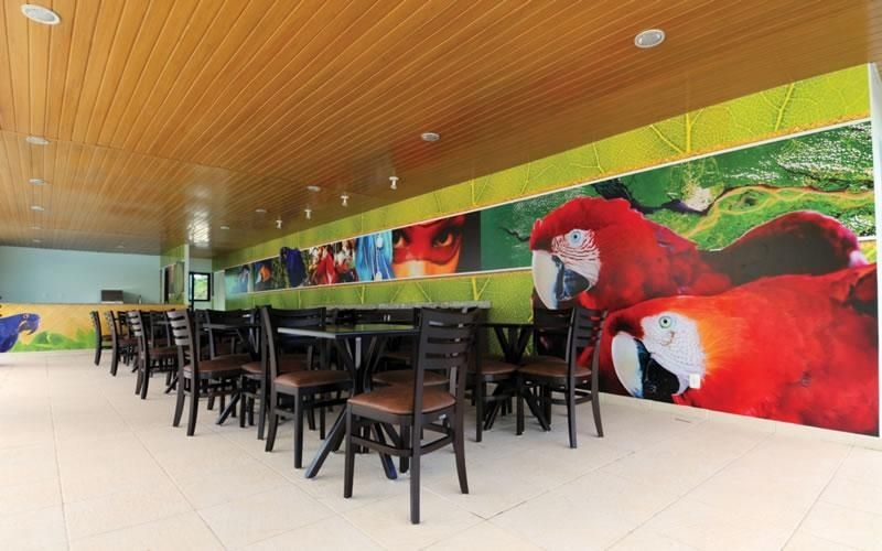 Amazon Jungle Palace0