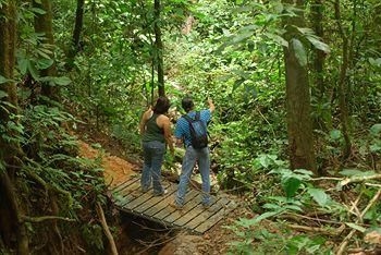 Celeste Mountain Lodge0