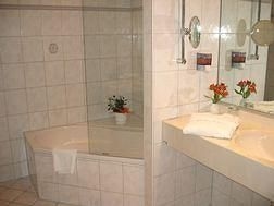 Erikson Hotel3
