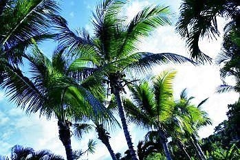 Habitation Grande Anse3