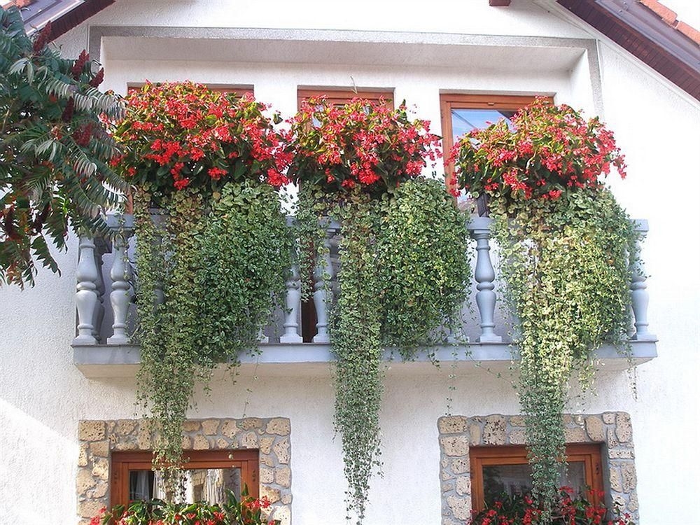 House Restaurant Sedra2