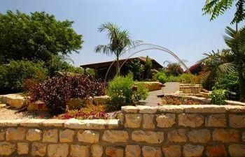O-live Briza Bakfar2