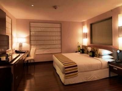 Leisure Inn West Gurgaon2