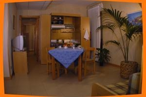 Ulivi E Palme1