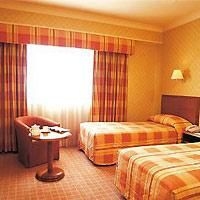 Holiday Inn London Heathrow Ariel1