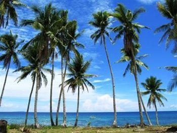 Phaidon Beach Resort0