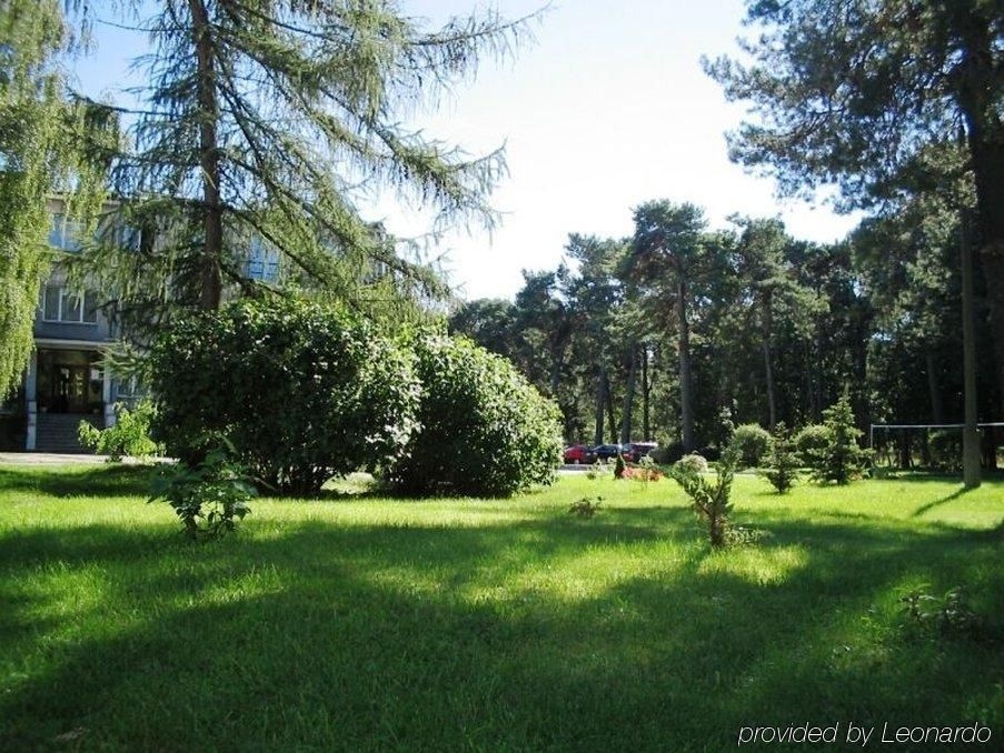 Bursztyn2