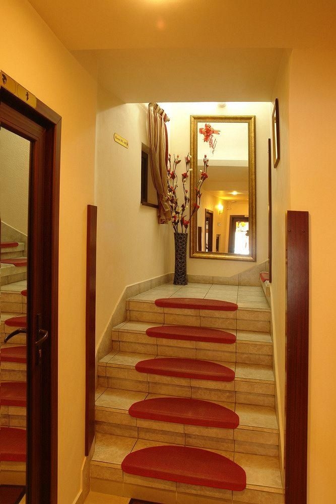 Hotel Pensiune Natural1