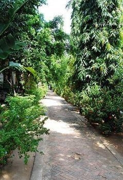 แมจิก รีสอร์ต ละไม (Magic Resort Lamai)3