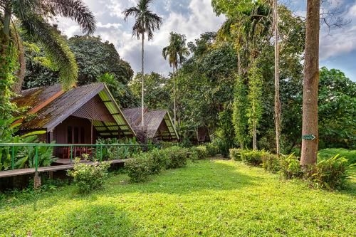 เขาสก ริเวอร์ไซด์ คอตเทจ (Khao Sok Riverside Cottages)0