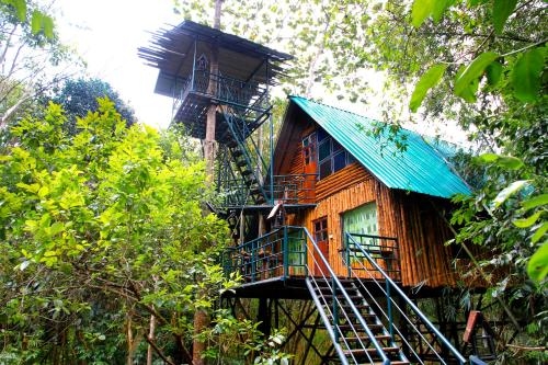 เขาสก ทรีเฮาส์ รีสอร์ท (Khaosok Treehouse Resort)0
