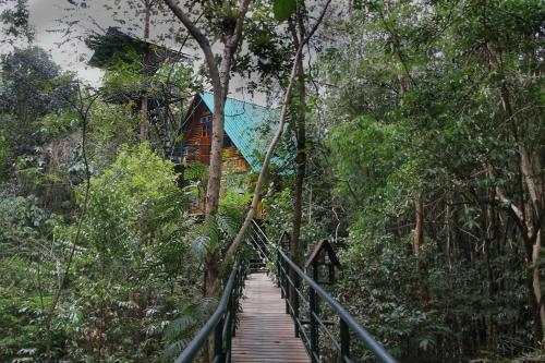เขาสก ทรีเฮาส์ รีสอร์ท (Khaosok Treehouse Resort)4