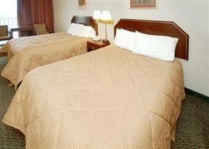 Comfort Inn Capitol Heights3