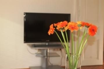 Belvedere Appartements3