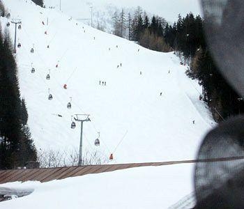 Alpenrose3