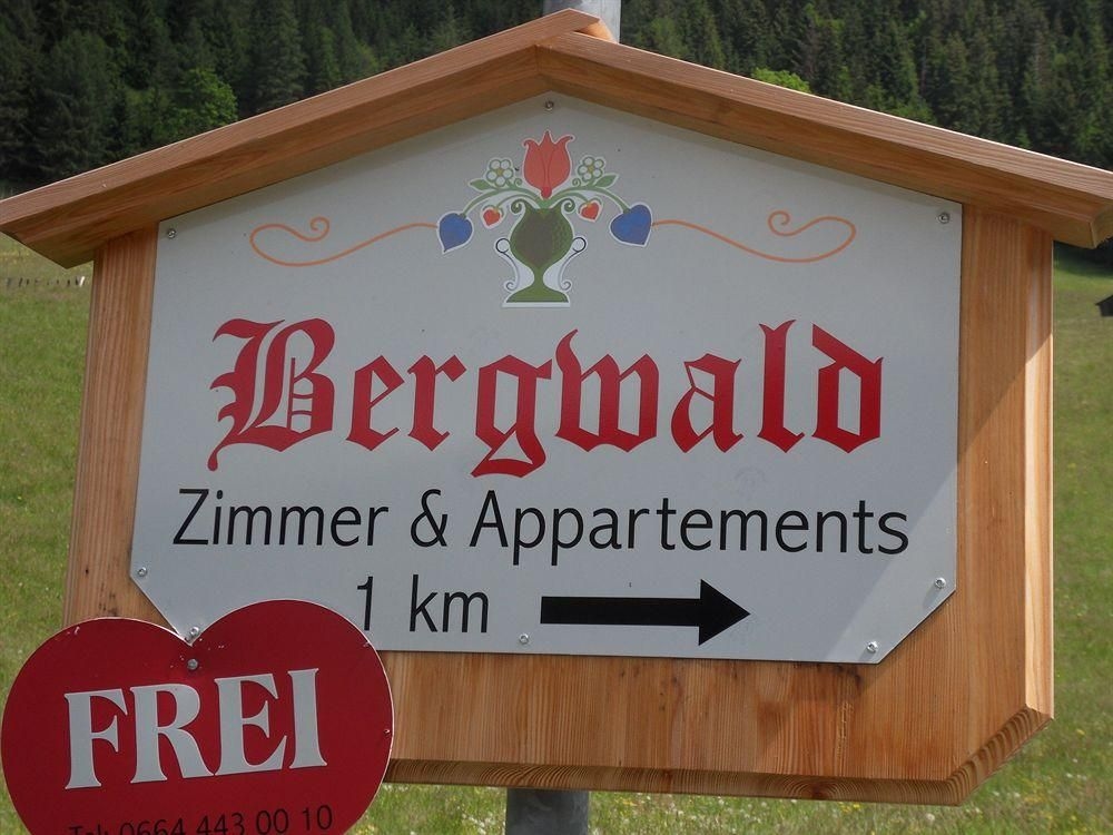 Bergwald4