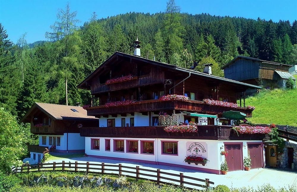 Bergwald3