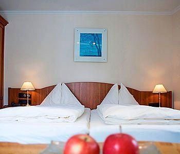 Seeboeckenhotel Zum Weissen Hir4
