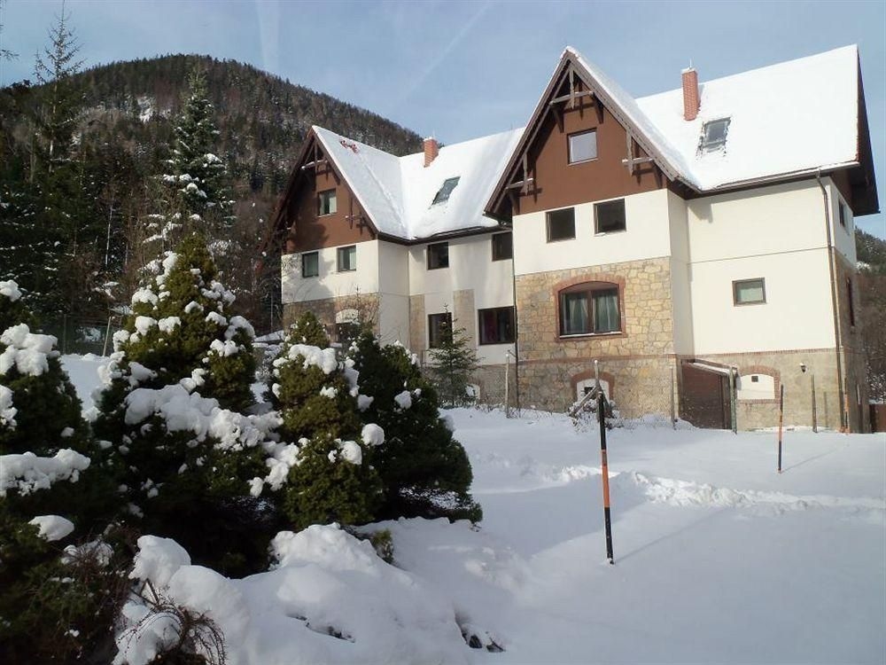 Villa Wellspacher3
