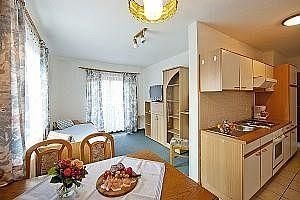 Apartment Brixental4