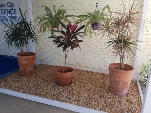 Y Motels Rockhampton1