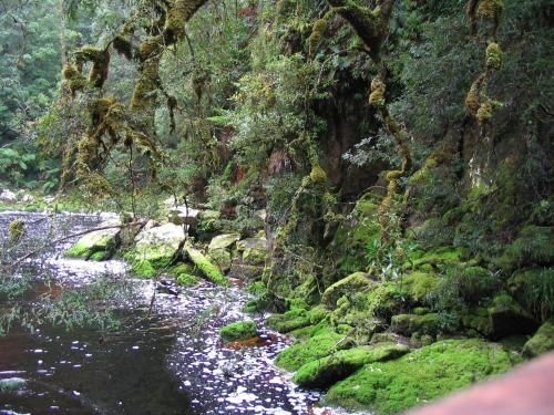 Strahan Bungalows4