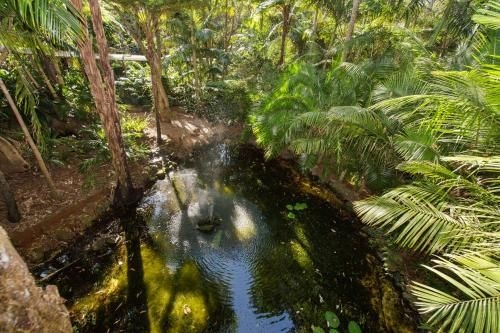 Pethers Rainforest Retreat1
