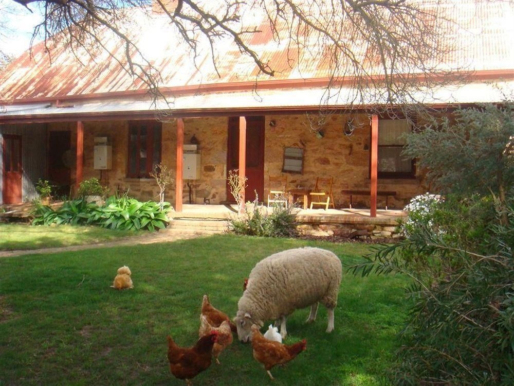 Liebelt House0