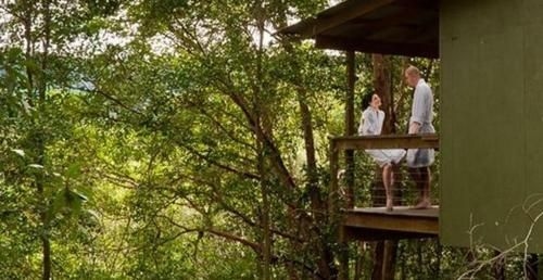 Hunchy Hideaway Hotel3