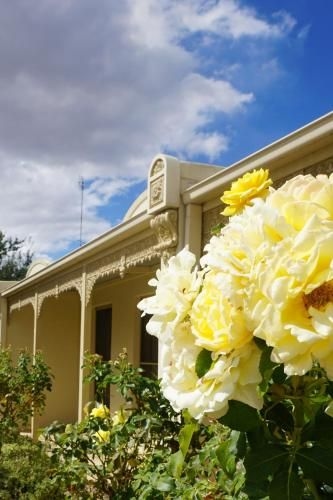 Acacia Terraces1