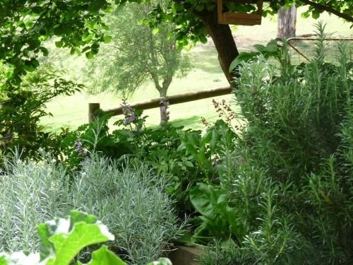 Brentwood Accommodation B&B Apartments - Yarra Valley (Brentwood Accommodation)1