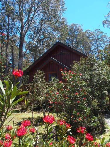 Cradle Mountain Highlanders Cottages0