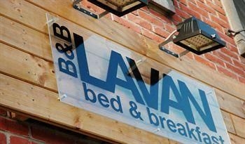 Lavan Bed and Breakfast1