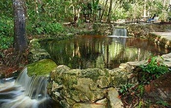 Amazon Ecopark Jungle Lodge3