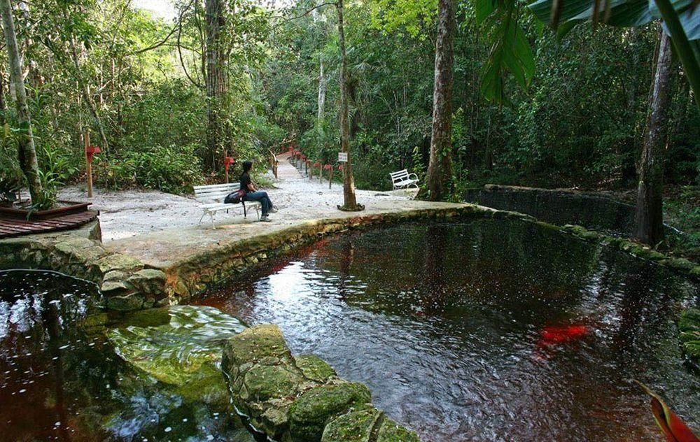 Amazon Ecopark Jungle Lodge1