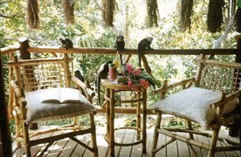 Aldeia da Mata Eco Lodge1