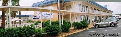 The Flamingo Resort - Gay Adult Resort0