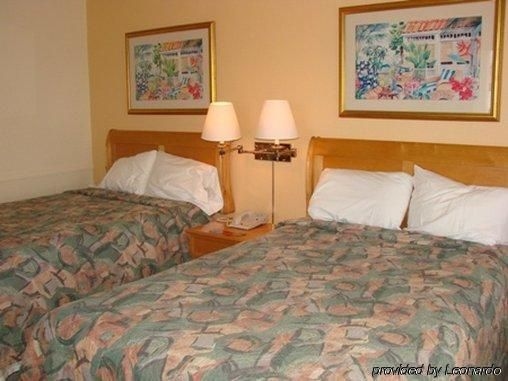 The Flamingo Resort - Gay Adult Resort3
