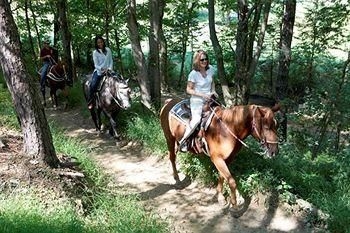 Fernwood Resort2