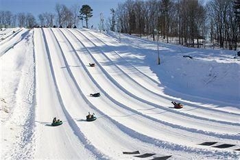 Fernwood Resort1