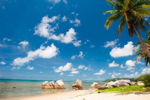 เลซี่เดย์ส์สมุยบีชรีสอร์ท (Lazy Days Samui Beach Resort)3