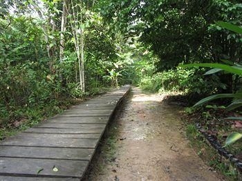 Omshanty Jungle Lodge1