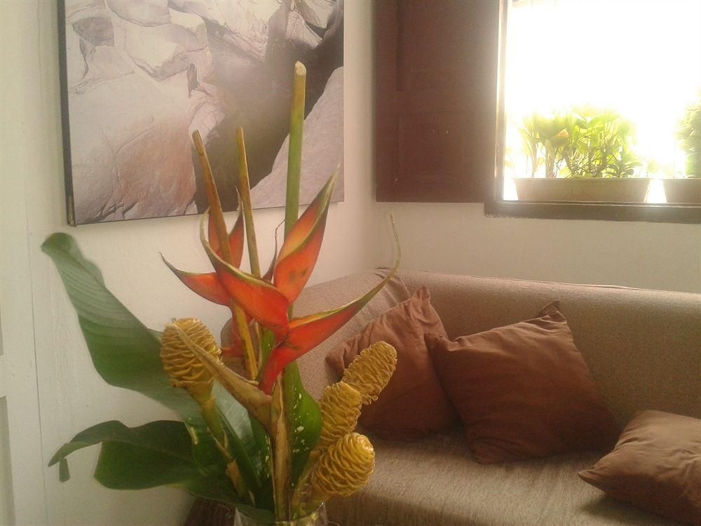 Provincia Hostel Valledupar2