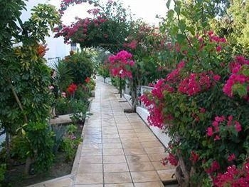 Bougainvillea Hotel Apartments3
