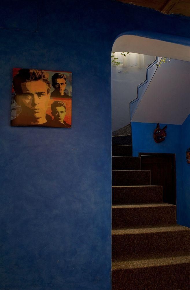 La Casa Amarilla0