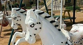 Morgana Beach Resort4