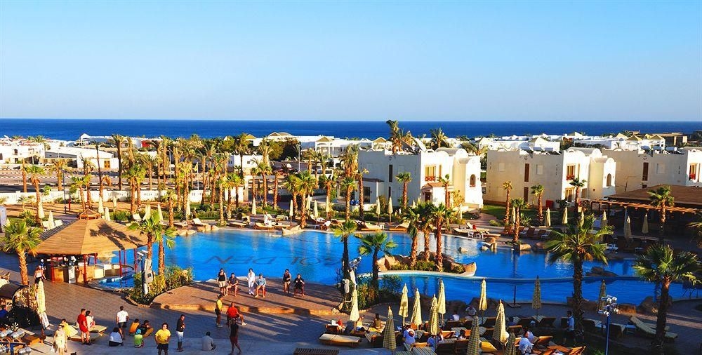 Shores Golden1